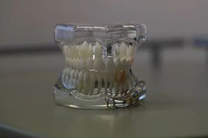пасти за зъби без флуор - 61853 възможности